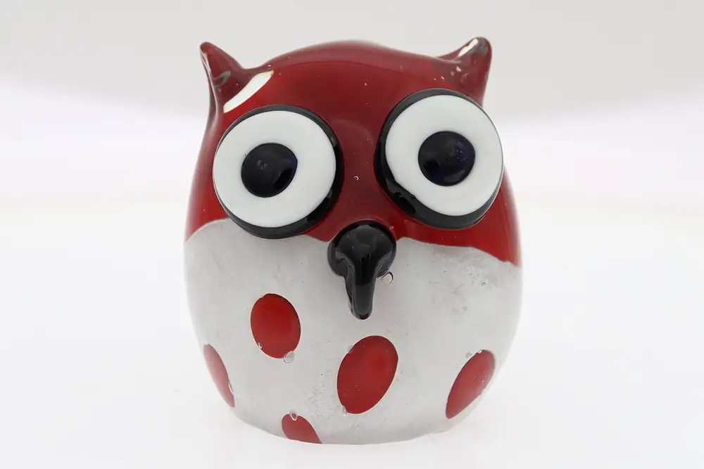 Zoo Animals Wildlife