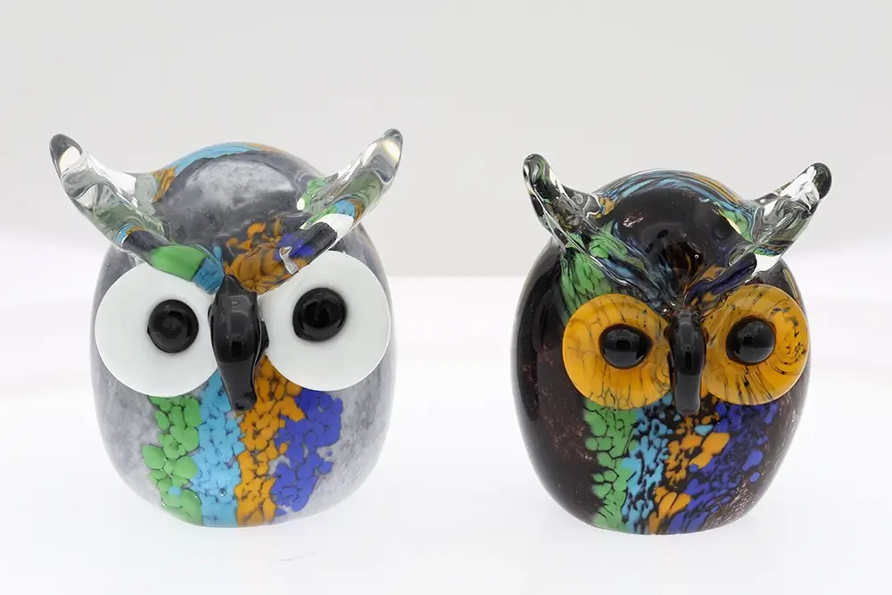 Zoo Animals Wildlife