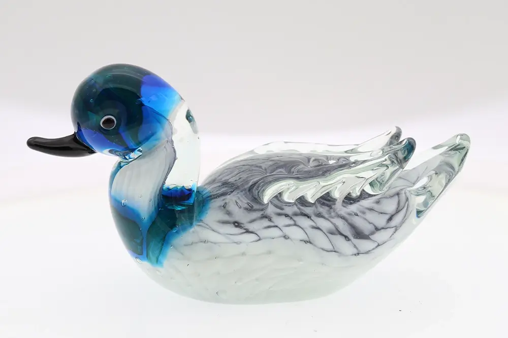 Zoo Animals Wildlife