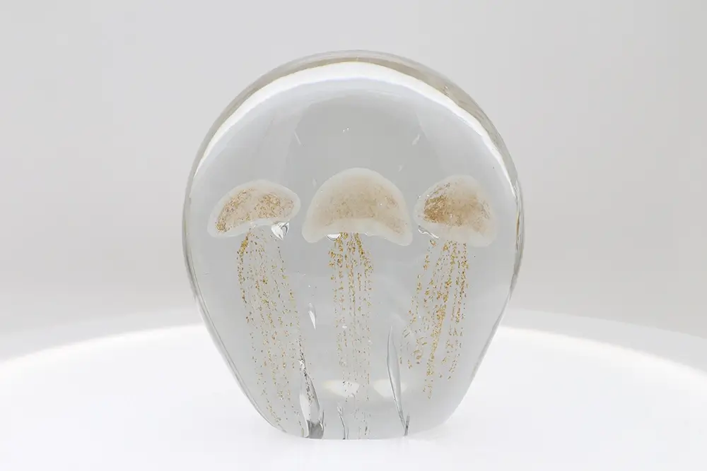 Glass Jellyfish