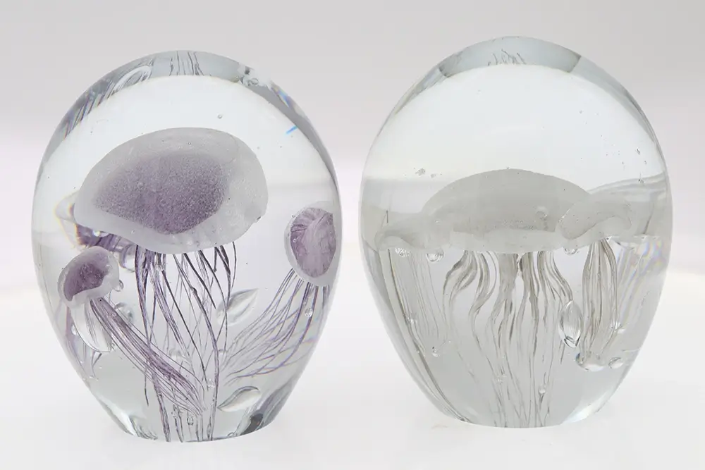 Glass Jellyfish