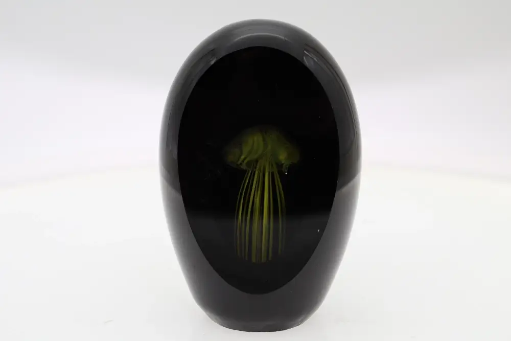 Glass Jellyfish