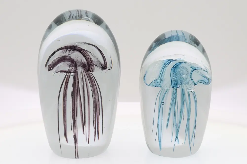 Glass Jellyfish
