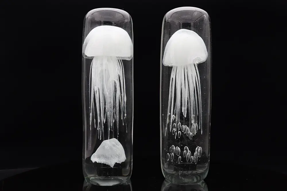 Glass Jellyfish