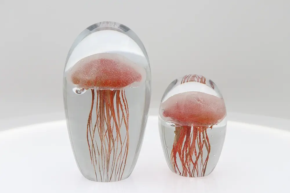 Glass Jellyfish