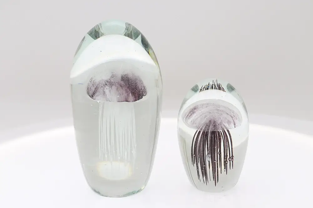 Glass Jellyfish